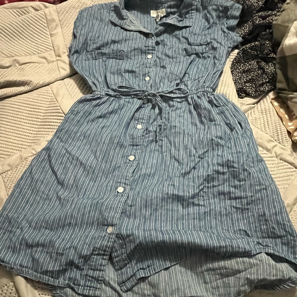 Japna Blue and White Striped Dress